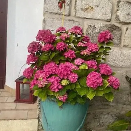 Casa de Férias Avec Jardin Aigues-Mortes