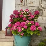 Feriehus Avec Jardin Aigues-Mortes