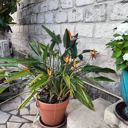 Avec Jardin Casa vacanze *
